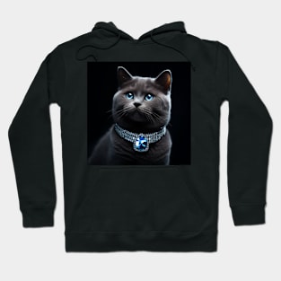 Jewelled British Shorthair Cat Hoodie